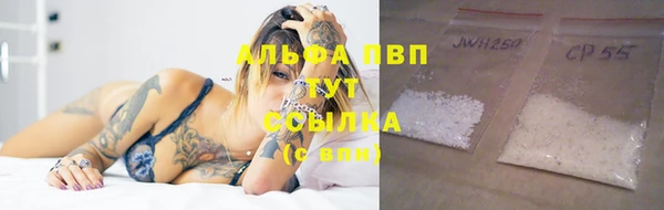 спиды Волосово