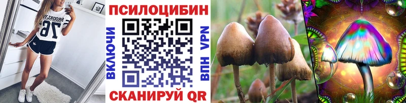 Псилоцибиновые грибы Psilocybe магазин наркотиков Владикавказ